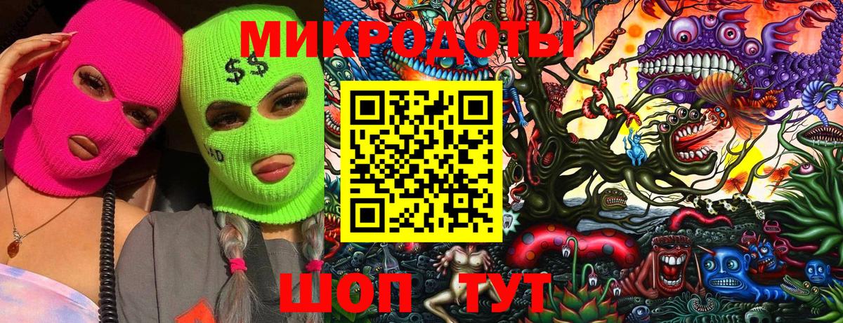 Псилоцибиновые грибы Psilocybine cubensis Кингисепп